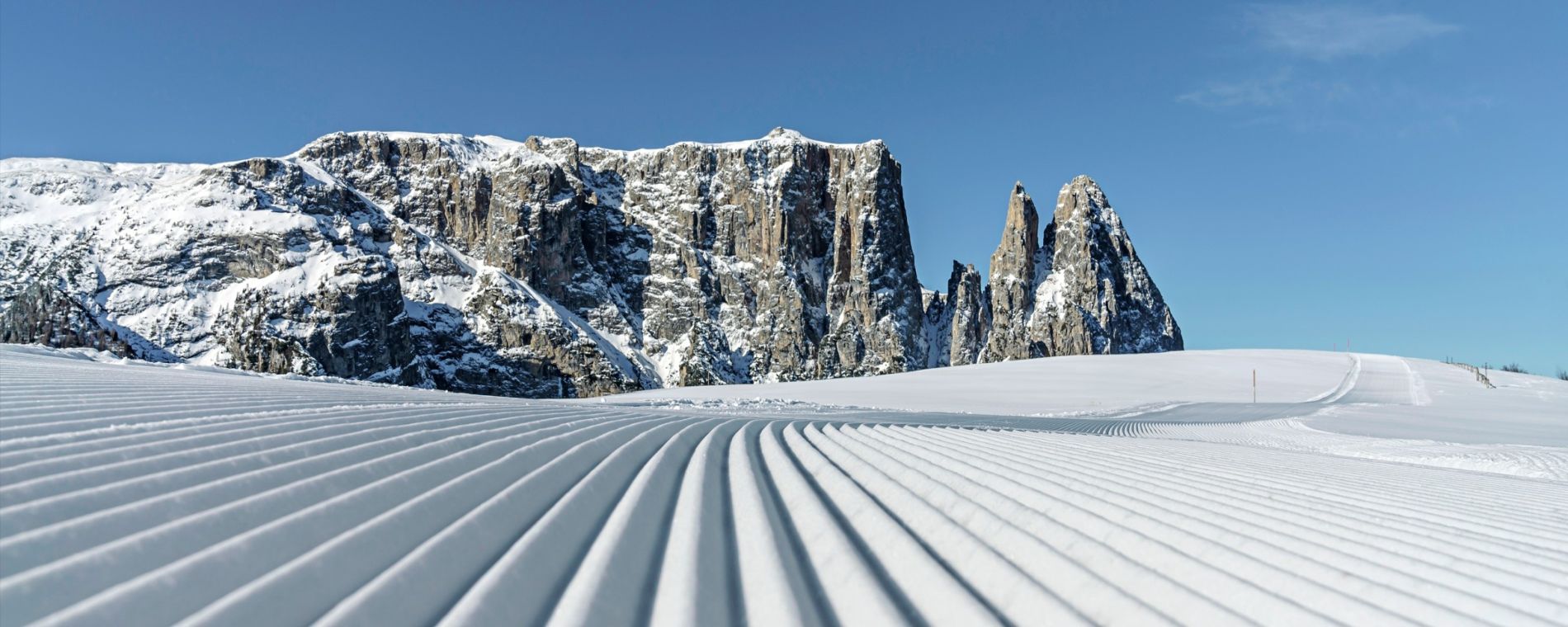 Dé specialist skireizen in clubformule